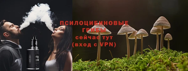 2c-b Богородск