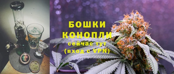 2c-b Богородск