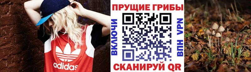 Галлюциногенные грибы Magic Shrooms  Кировск 